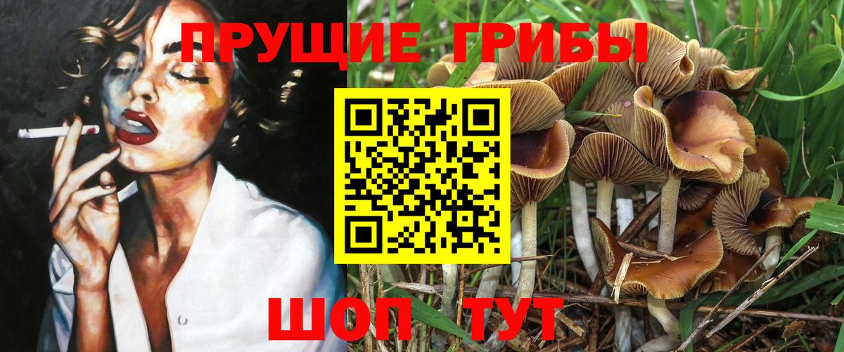 Галлюциногенные грибы Magic Shrooms  Галлюциногенные грибы Psilocybine cubensis  Беслан  Вход с VPN 